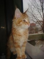 Duffy and Cammy! 674.jpg