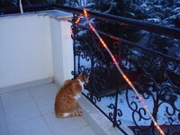 Χριστουγεννα-08 036 α.jpg