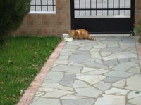 Χριστουγεννα-08 044 α.jpg