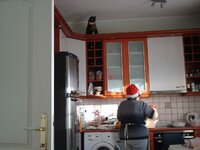 Πρωτοχρονια 2009 003 α.jpg