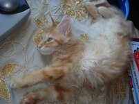 Duffy and Cammy! 698.jpg