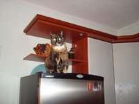 Πρωτοχρονια 2009 001 α.jpg