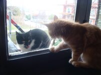 Duffy and Cammy! 703.jpg