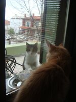 Duffy and Cammy! 704.jpg