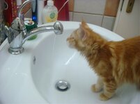 Duffy and Cammy! 715.jpg