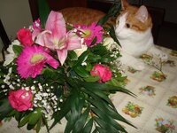 Ο Αρης παρανυφακι 003 α.jpg