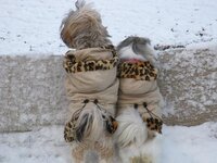 Mr_ Dudley Do Right 434_001.jpg