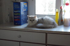 Εικόνα 011.jpg