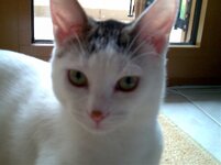 Εικόνα046 (2).jpg