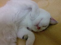 Εικόνα004 (2).jpg