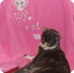 Αντίγραφο από DSCF3073.JPG