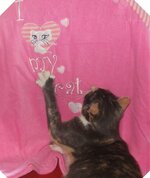 Αντίγραφο (2) από DSCF3074.jpg