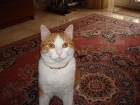 Αρης φωτο για γαμπρος 001 α.jpg