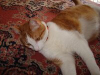 Αρης φωτο για γαμπρος 002 α.jpg