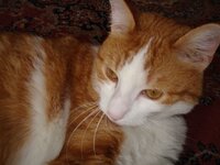 Αρης φωτο για γαμπρος 004 α.jpg