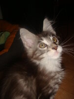 Duran and Cammy 166.jpg