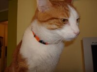 Φωτο Αρη 30-1-09 005 α.jpg