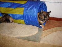 Φωτο Αρη 30-1-09 008 α.jpg