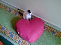 Εικόνα031 (2).jpg