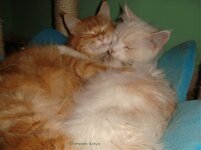 DSC00892 αντίγραφο.jpg