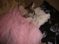 Duran and Cammy 230.jpg