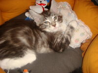 Duran and Cammy 257.jpg