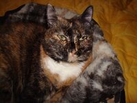 Μυρτούλα 7-2-09 019 α.jpg