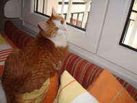 Μυρτούλα 7-2-09 009 α.jpg