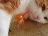 Αρης 8-02-09 004 α.jpg