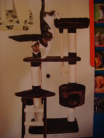 Duran and Cammy 142.jpg