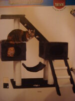 Duran and Cammy 128.jpg