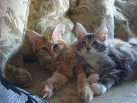 Duran and Cammy 134.jpg