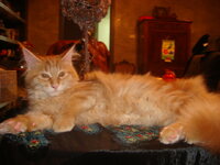 Duran and Cammy 122.jpg