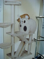 Duran and Cammy 148.jpg