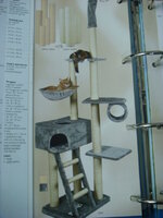 Duran and Cammy 147.jpg