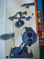 Duran and Cammy 146.jpg