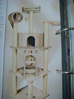 Duran and Cammy 145.jpg