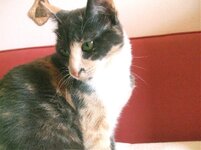 Αντίγραφο από DSCF3154(1).jpg