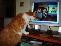 Ο Αρης ναρκισσος α.jpg