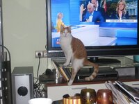 φωτο Ζηνας.JPG 2 α.jpg