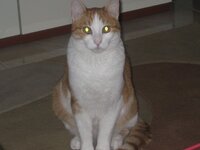 φωτο Ζηνας.JPG 6 α.jpg