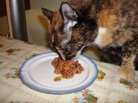 Τσικνοπέμπτη 19-02-09 005 α.jpg