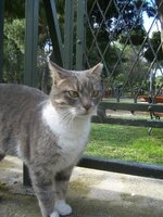 Gracie at playground.jpg