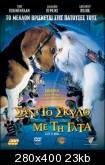 σαν το σκυλο με τη γατα.jpg