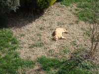 Καθαρά Δευτέρα 2009 006 α.jpg