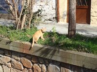 Καθαρά Δευτέρα 2009 022 α.jpg