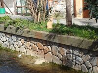 Καθαρά Δευτέρα 2009 024 α.jpg