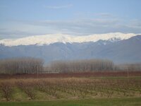 Καθαρά Δευτέρα 2009 060 α.jpg