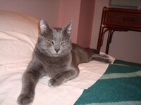 Αθηνα 3-2009 041 α.jpg