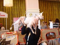 Αθηνα 3-2009 076 α.jpg